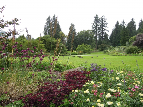 Tsawwassen - Vancouver