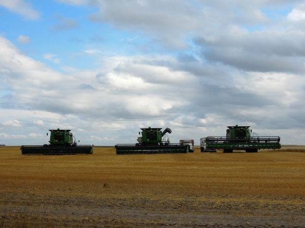 Burlington - Carrington