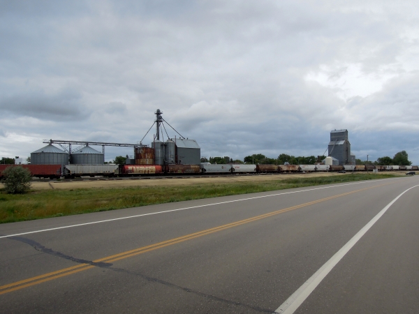 Burlington - Carrington