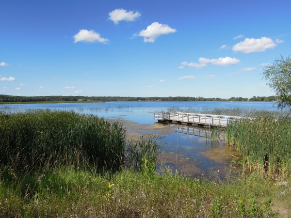 Brandon - Clearwater