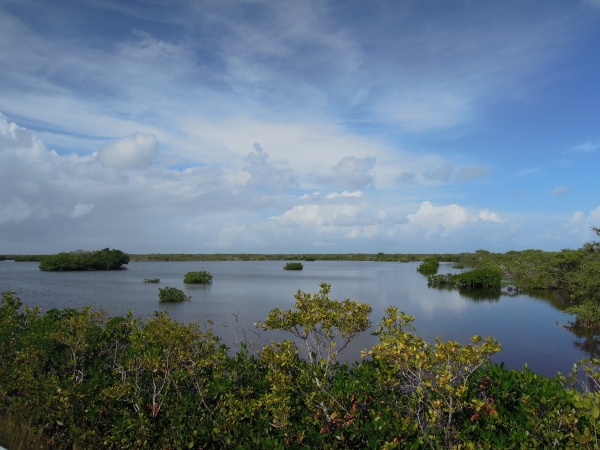 Homestead - Long Key