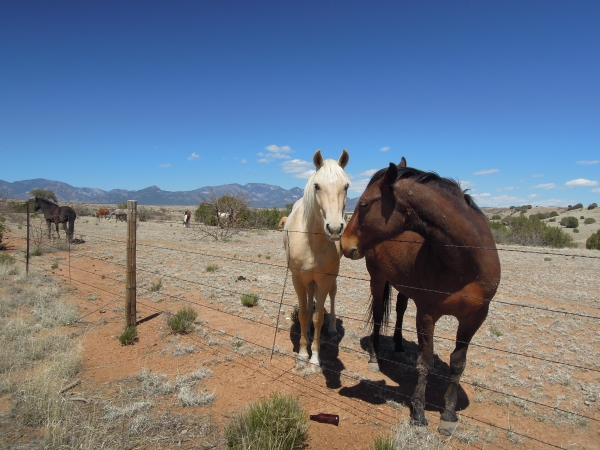 Silver City - Three Way