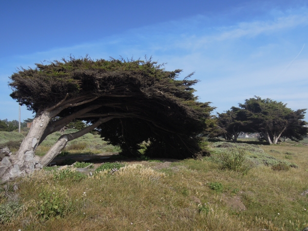 Atascadero - Cambria